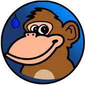Free play online Rainy Monkey APK