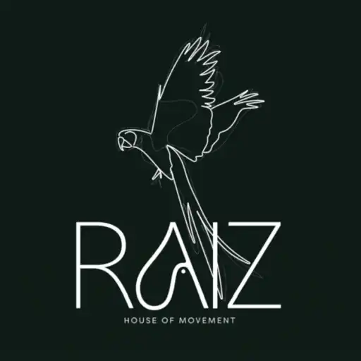 Play RAIZ Movement House APK Play RAIZ Movement House APK