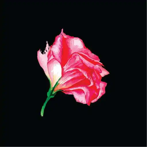 Free play online Rajtex APK