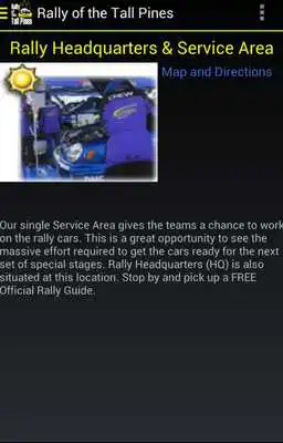 Play Rally of the Tall Pines 2014