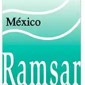 Free play online RamsarMX APK