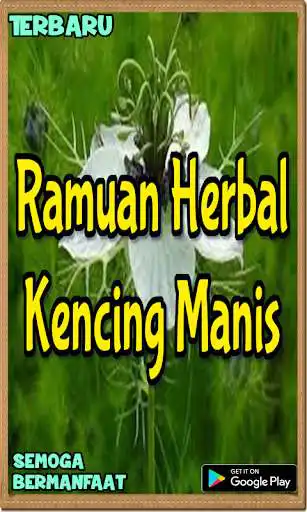 Play Ramuan Alami Kencing Manis Paling Dicari as an online game Ramuan Alami Kencing Manis Paling Dicari with UptoPlay