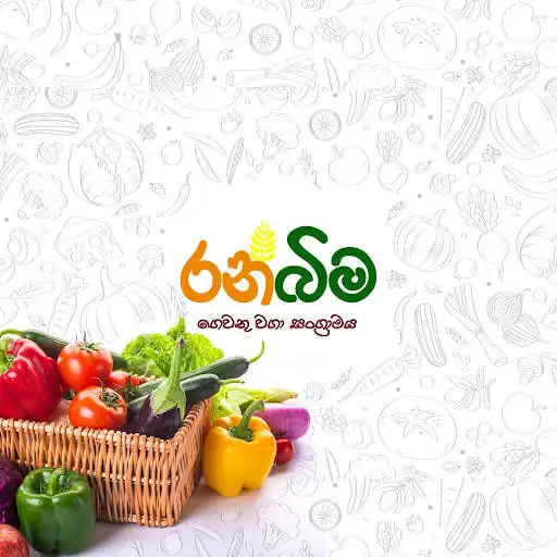 Play RanBima  and enjoy RanBima with UptoPlay