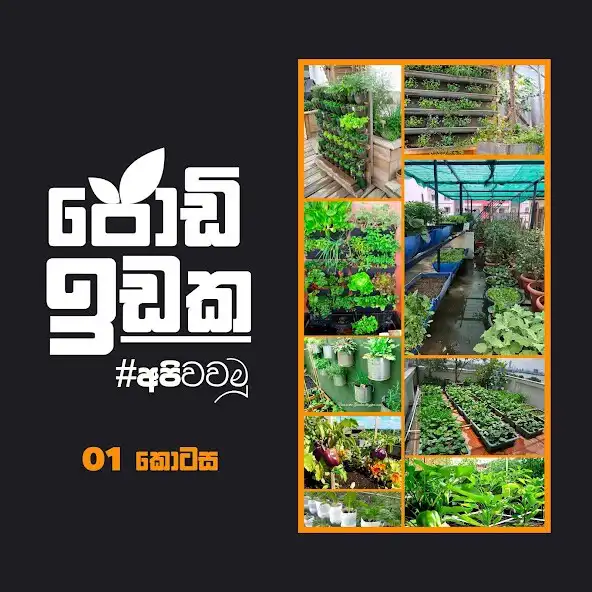 Play RanBima as an online game RanBima with UptoPlay