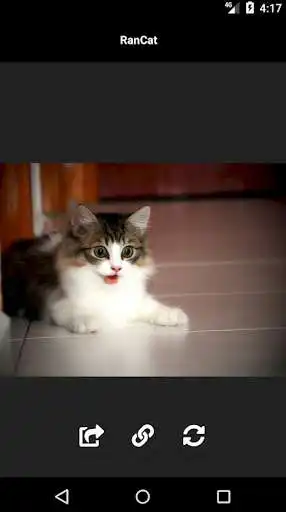 Play RanCat as an online game RanCat with UptoPlay