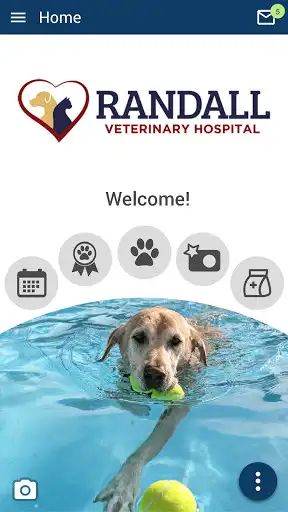 Play Randall Vet Hospital  and enjoy Randall Vet Hospital with UptoPlay