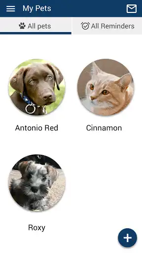 Play Randall Vet Hospital as an online game Randall Vet Hospital with UptoPlay