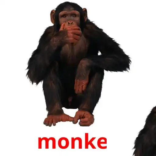 Play Random Animal Flashcards APK