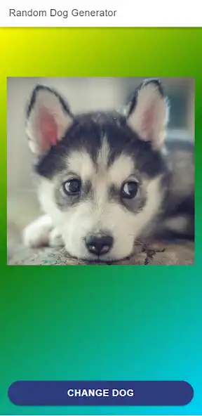 Play Random Dog: Laugh with dogs as an online game Random Dog: Laugh with dogs with UptoPlay