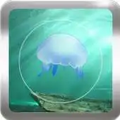 Free play online Random Jellyfish Wallpapers APK