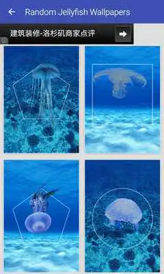 Play Random Jellyfish Wallpapers