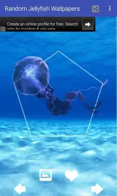 Play Random Jellyfish Wallpapers