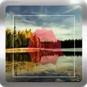 Free play online Random Plant  Wallpaper APK