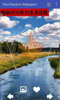 Play Random Plant  Wallpaper