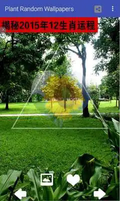 Play Random Plant  Wallpaper