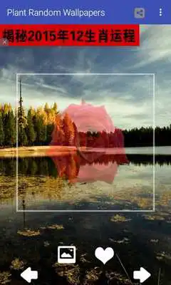 Play Random Plant  Wallpaper