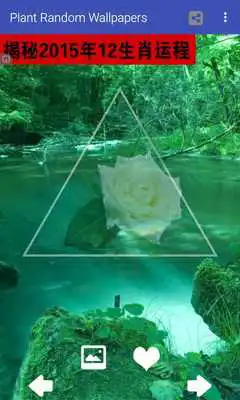 Play Random Plant  Wallpaper