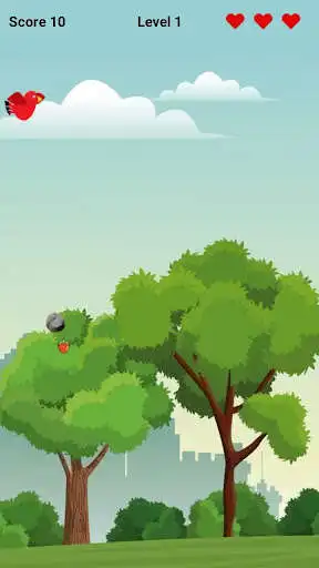 Play Rango Bird  and enjoy Rango Bird with UptoPlay