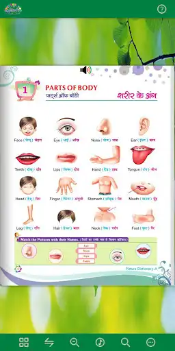 Play Rangoli Picture dictionary - B as an online game Rangoli Picture dictionary - B with UptoPlay