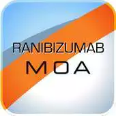 Free play online Ranibizumab APK