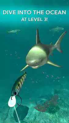 Play Rapala Fishing