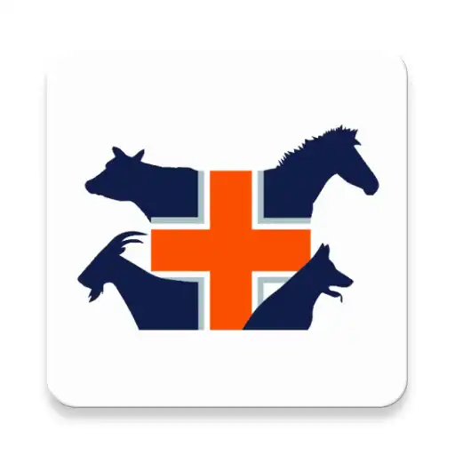 Play Rapidvet APK