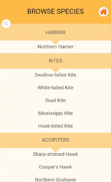 Play Raptor ID  and enjoy Raptor ID with UptoPlay