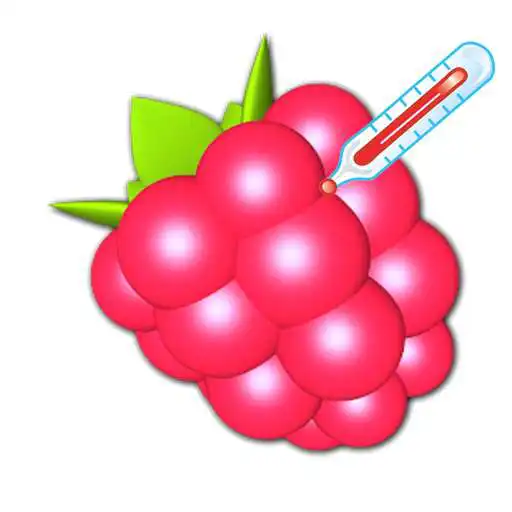 Play RasPi Check APK