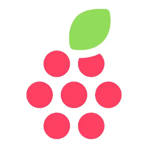 Play RaspiSMS Relay APK