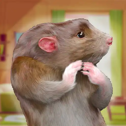 Play Rat Game  Mouse Simulator APK