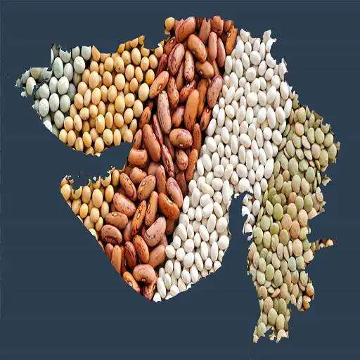 Free play online Ration Card Guj APK Free play online Ration Card Guj APK