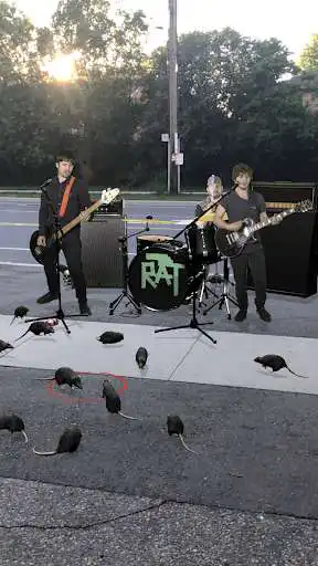Play Rat Parade - AR  and enjoy Rat Parade - AR with UptoPlay