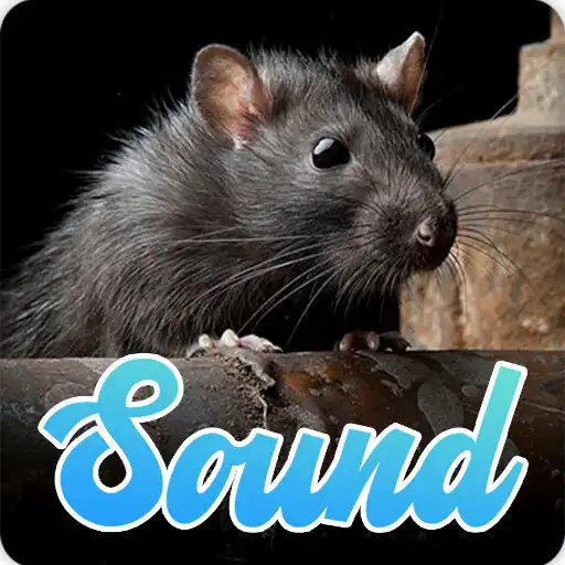 Play Rat Sounds Effect APK