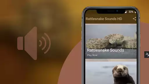 Play Rattlesnake Sounds  and enjoy Rattlesnake Sounds with UptoPlay