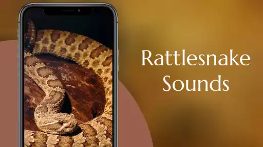 Play Rattlesnake Sounds as an online game Rattlesnake Sounds with UptoPlay