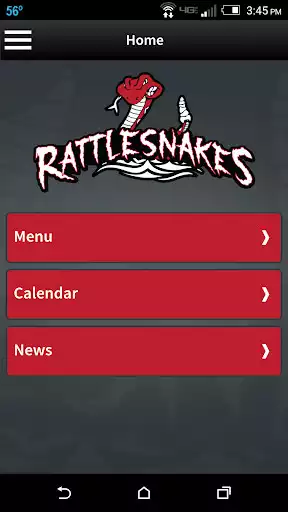 Play Rattlesnakes