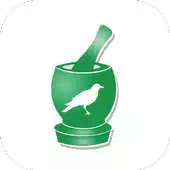 Free play online Ravens Pharmacy APK
