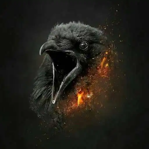 Play Raven Wallpapers APK Play Raven Wallpapers APK