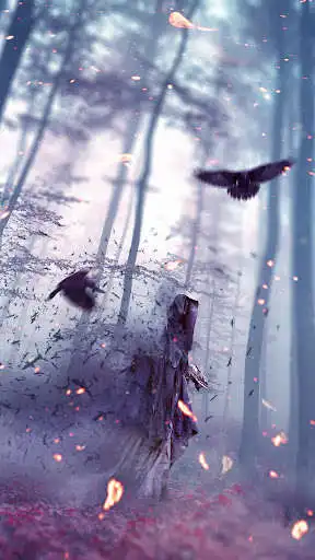 Play Raven Wallpapers  and enjoy Raven Wallpapers with UptoPlay