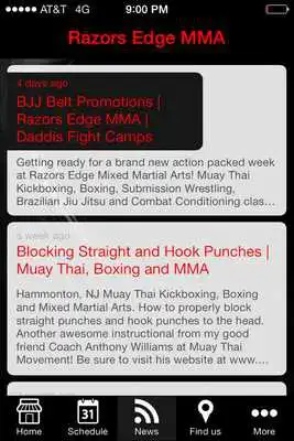 Play Razors Edge MMA