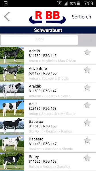 Play RBB-App as an online game RBB-App with UptoPlay