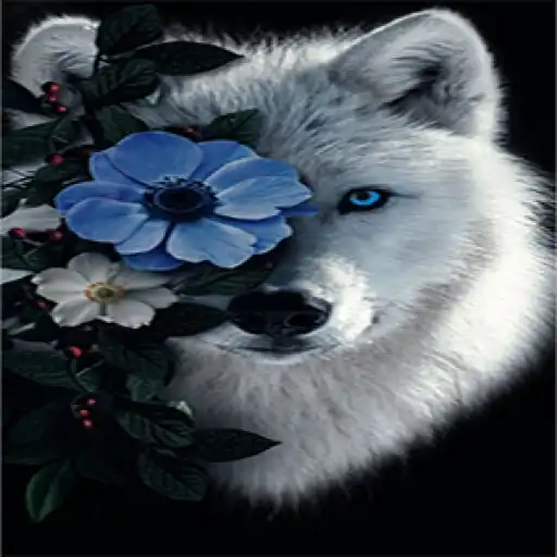 Play Rádio Lobito APK