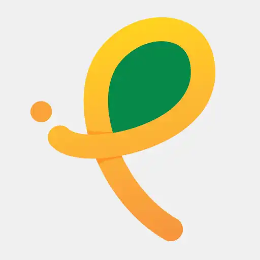 Play Rádio Primavera 935 APK