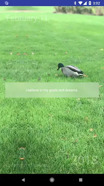 Play Reaffirm  and enjoy Reaffirm with UptoPlay