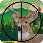 Free play online Real Animal Hunting In Forest APK Free play online Real Animal Hunting In Forest APK