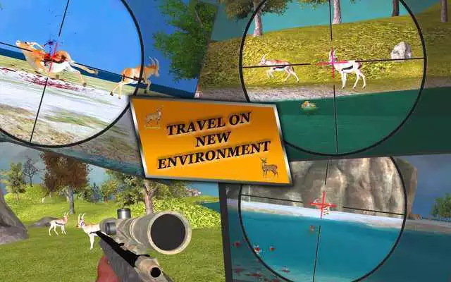 Play Real Animal Hunting In Forest