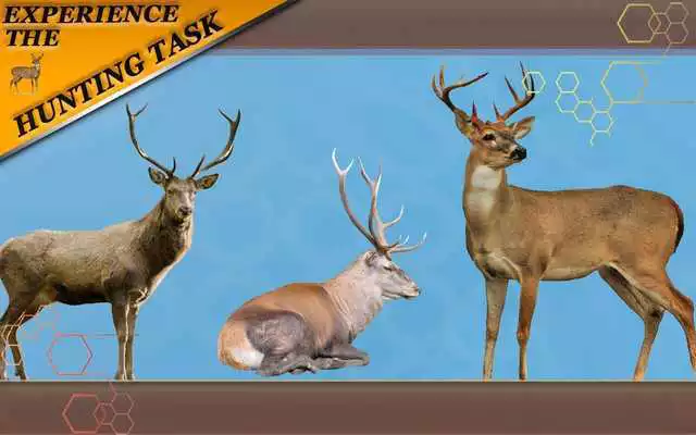 Play Real Animal Hunting In Forest
