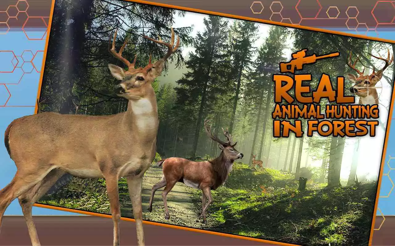Play Real Animal Hunting In Forest
