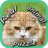 Free play online Real Animal Puzzle Pieces APK Free play online Real Animal Puzzle Pieces APK