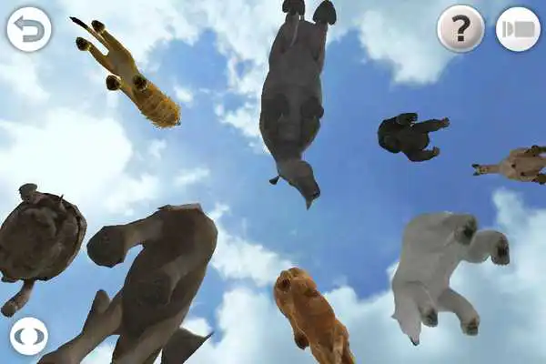 Play REAL ANIMALS HD